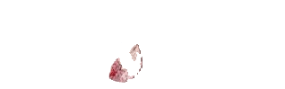 SAMUINE
